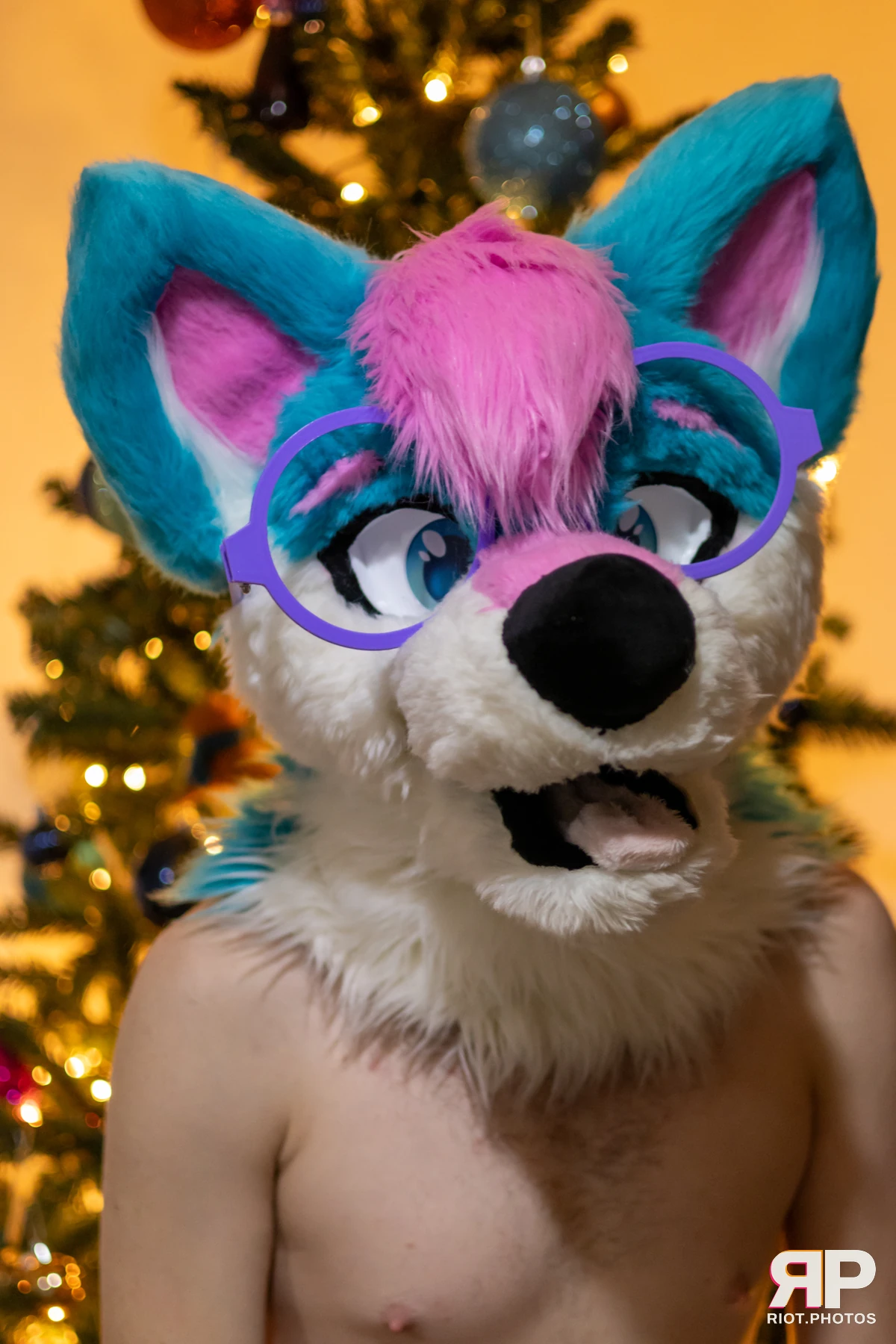 Pup Kaz — furry & pup photography by Fluffy Riot — photo 537