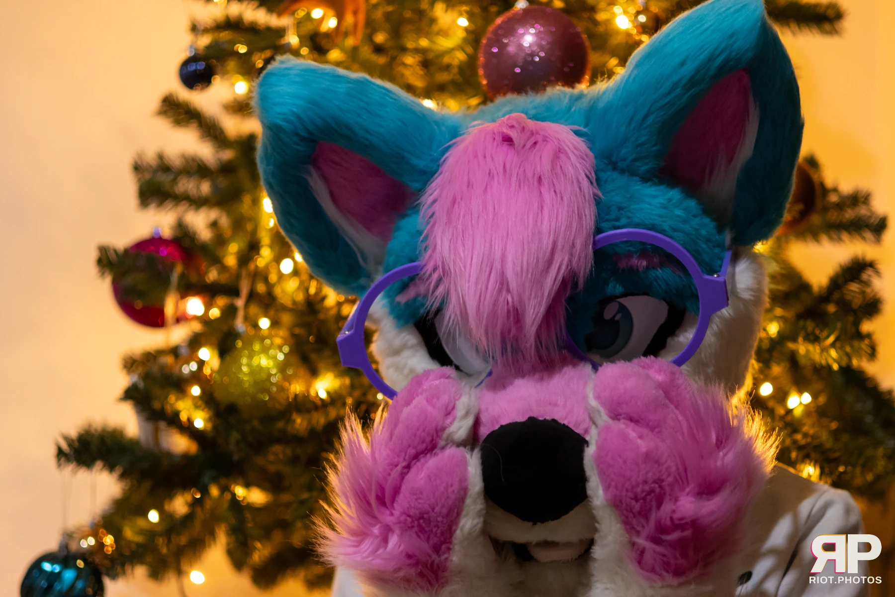 Pup Kaz — furry & pup photography by Fluffy Riot — photo 541