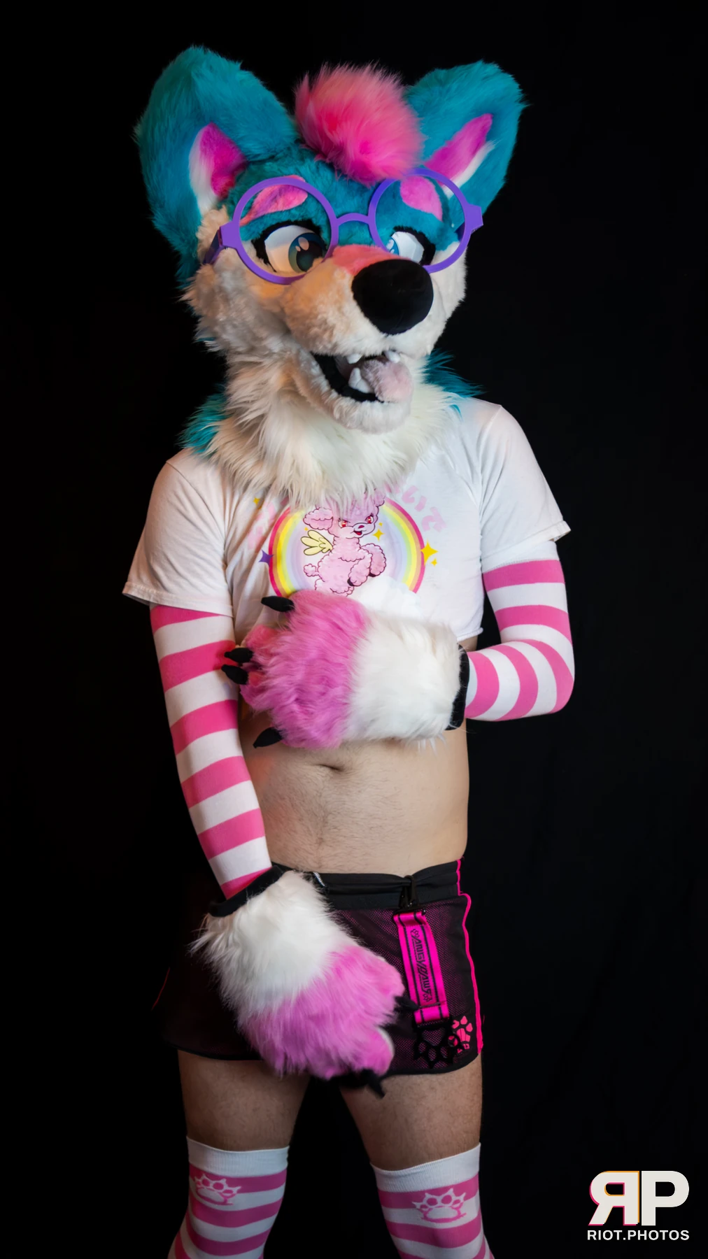 Pup Kaz — furry & pup photography by Fluffy Riot — photo 416