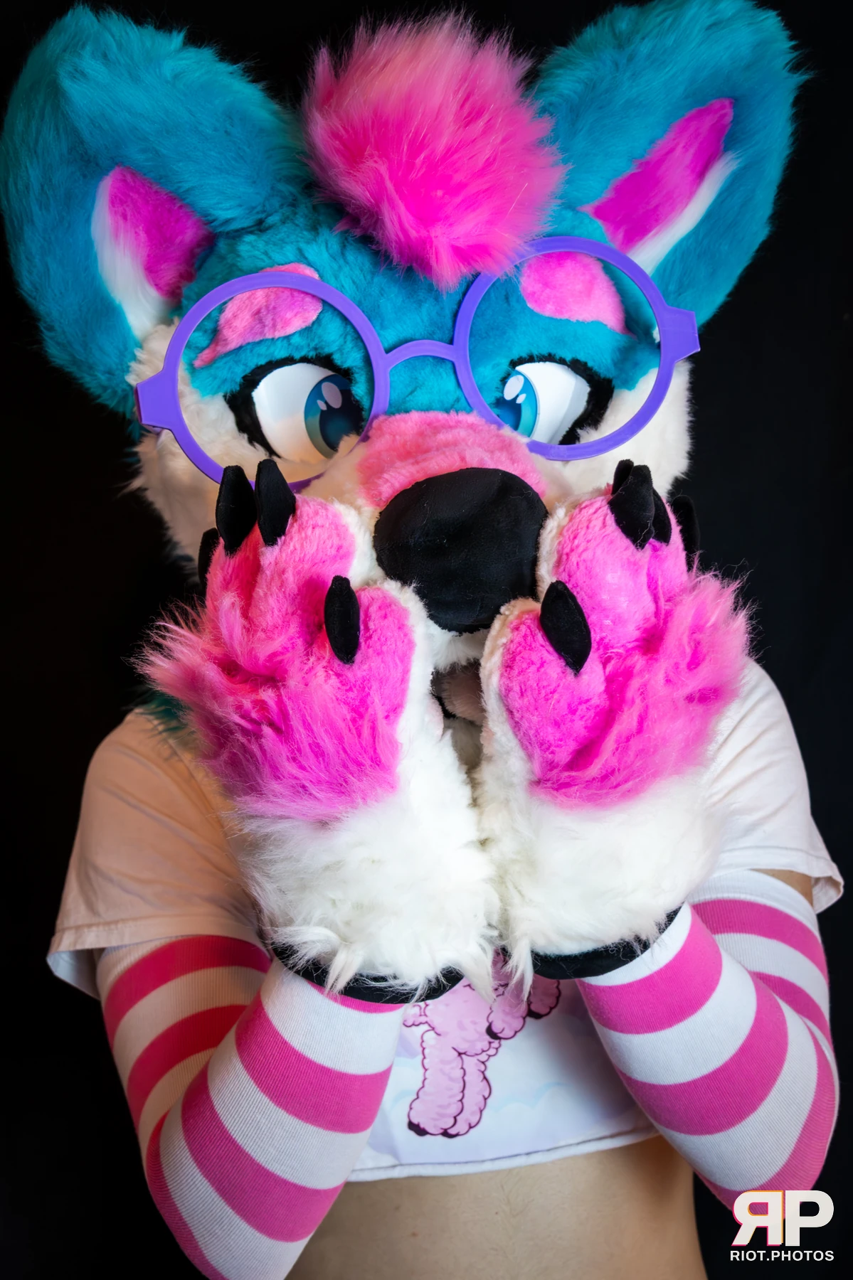 Pup Kaz — furry & pup photography by Fluffy Riot — photo 418