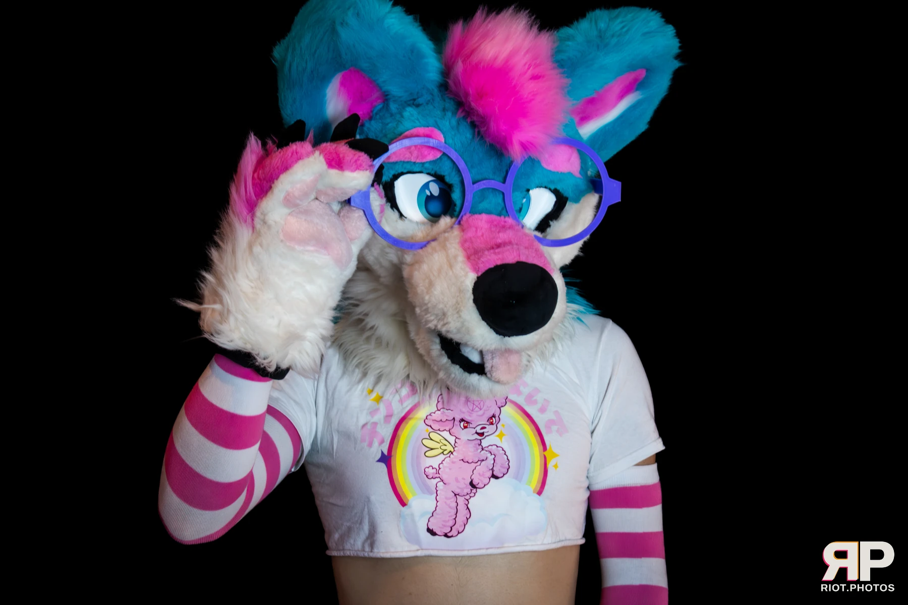 Pup Kaz — furry & pup photography by Fluffy Riot — photo 419