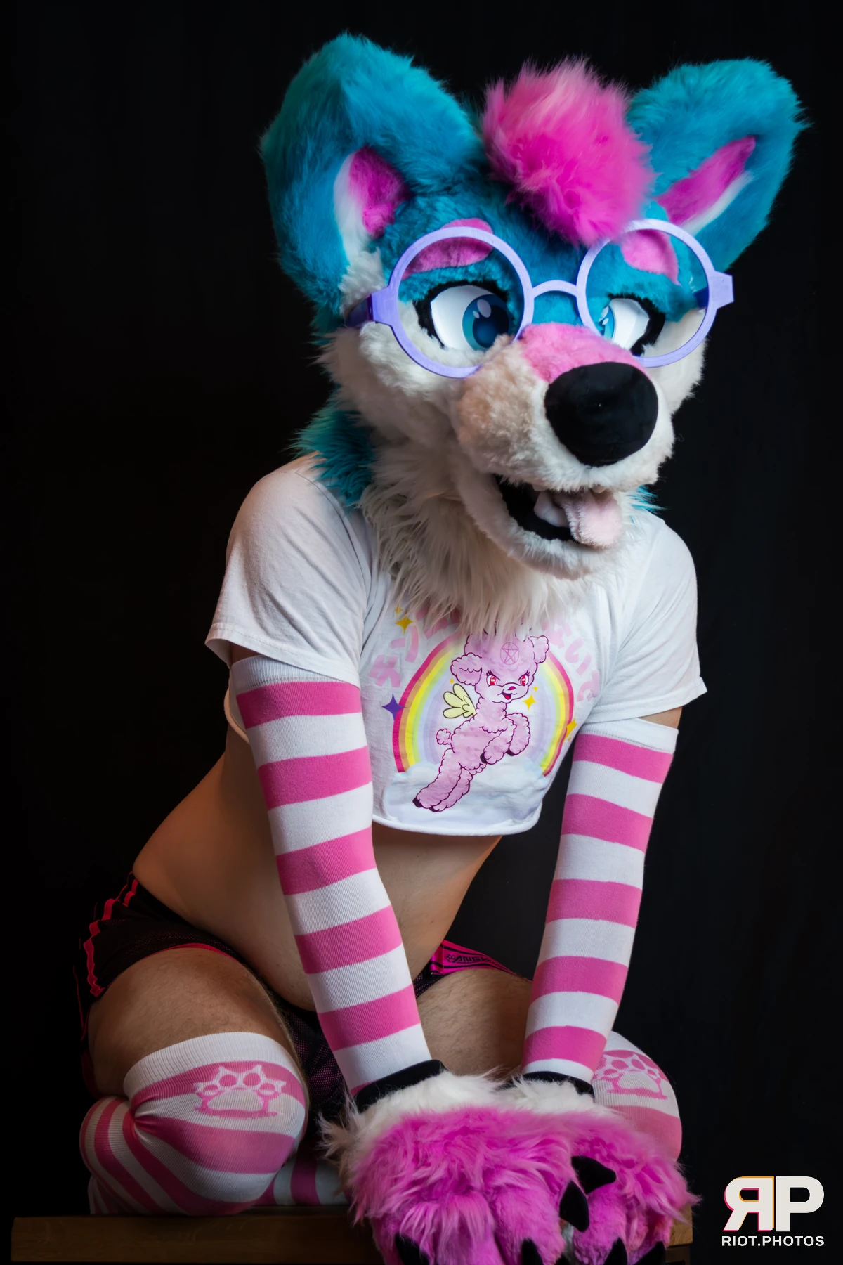 Pup Kaz — furry & pup photography by Fluffy Riot — photo 420