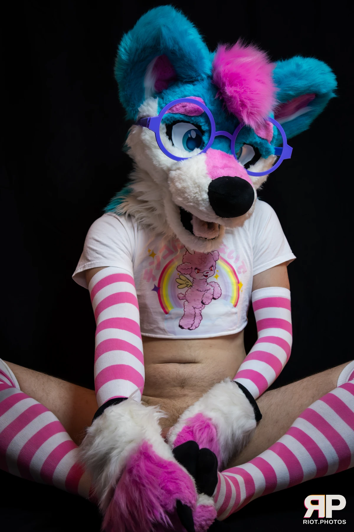 Pup Kaz — furry & pup photography by Fluffy Riot — photo 430