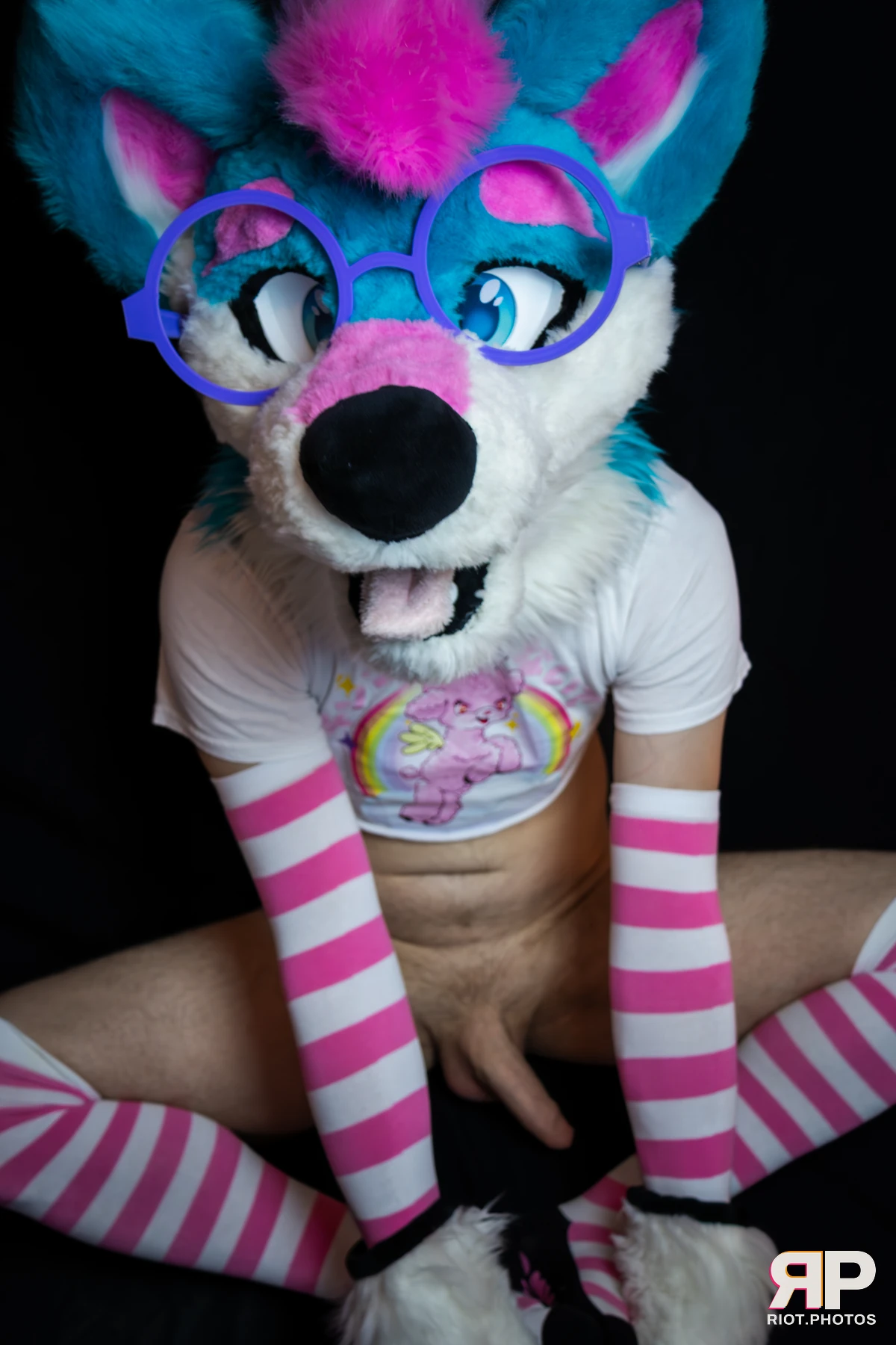 Pup Kaz — furry & pup photography by Fluffy Riot — photo 432