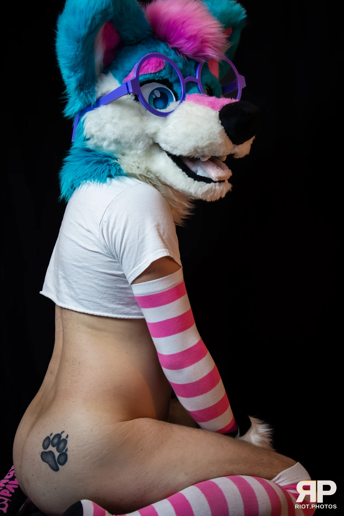 Pup Kaz — furry & pup photography by Fluffy Riot — photo 434