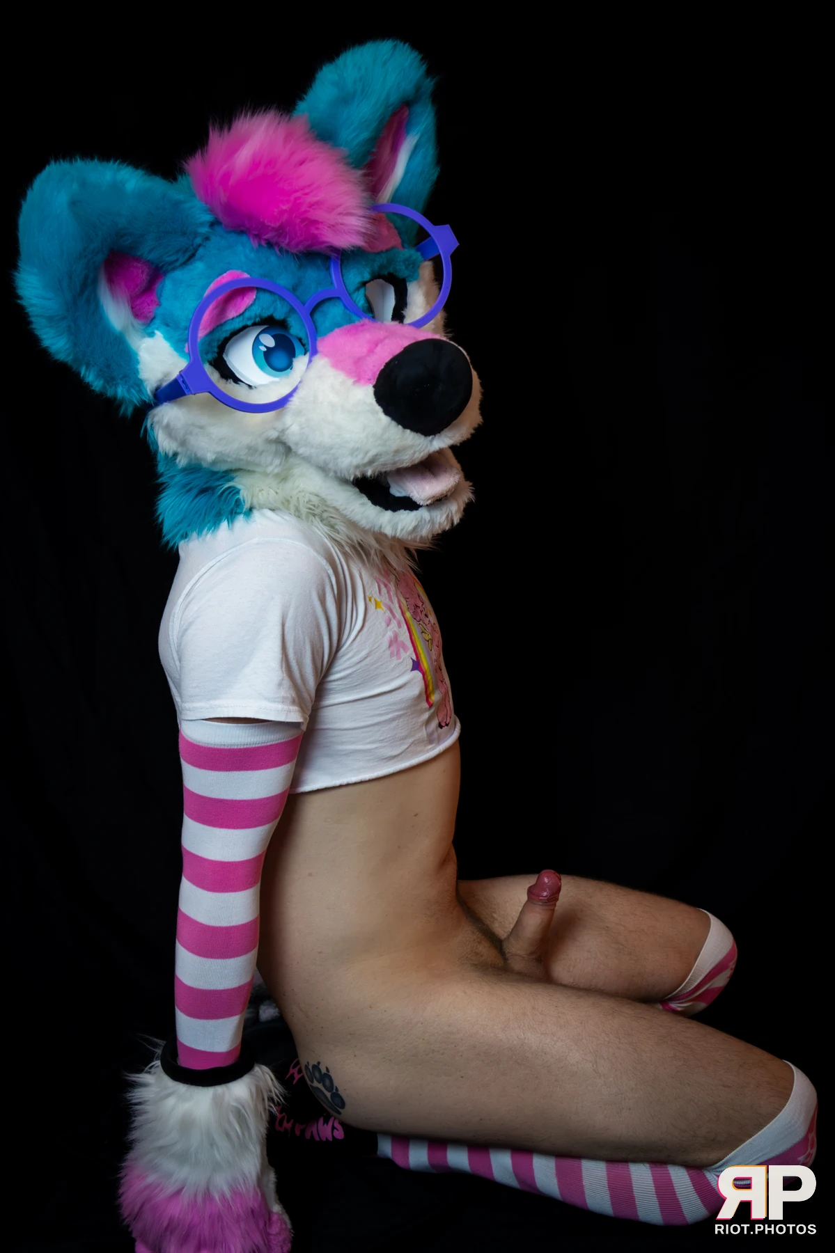 Pup Kaz — furry & pup photography by Fluffy Riot — photo 435