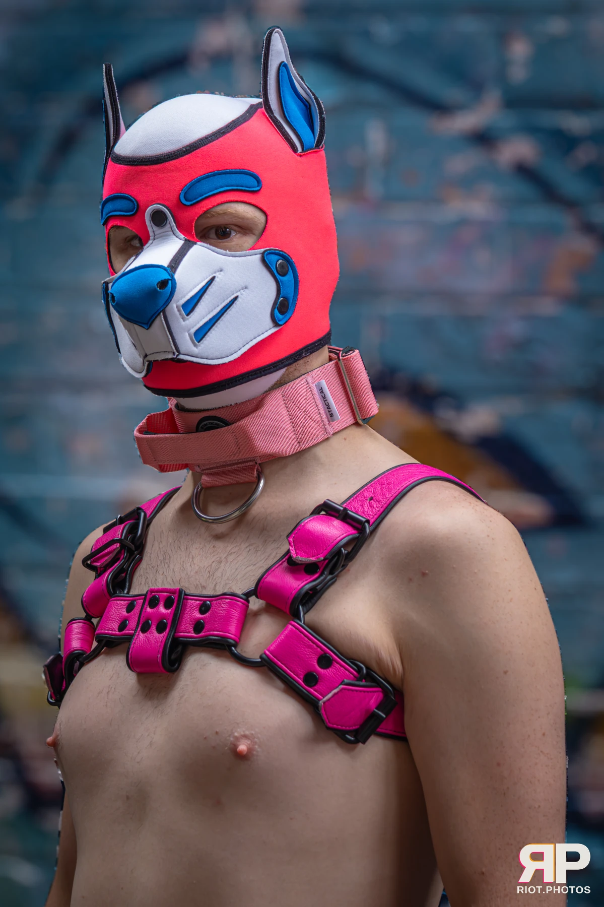 Pup Kaz — furry & pup photography by Fluffy Riot — photo 376