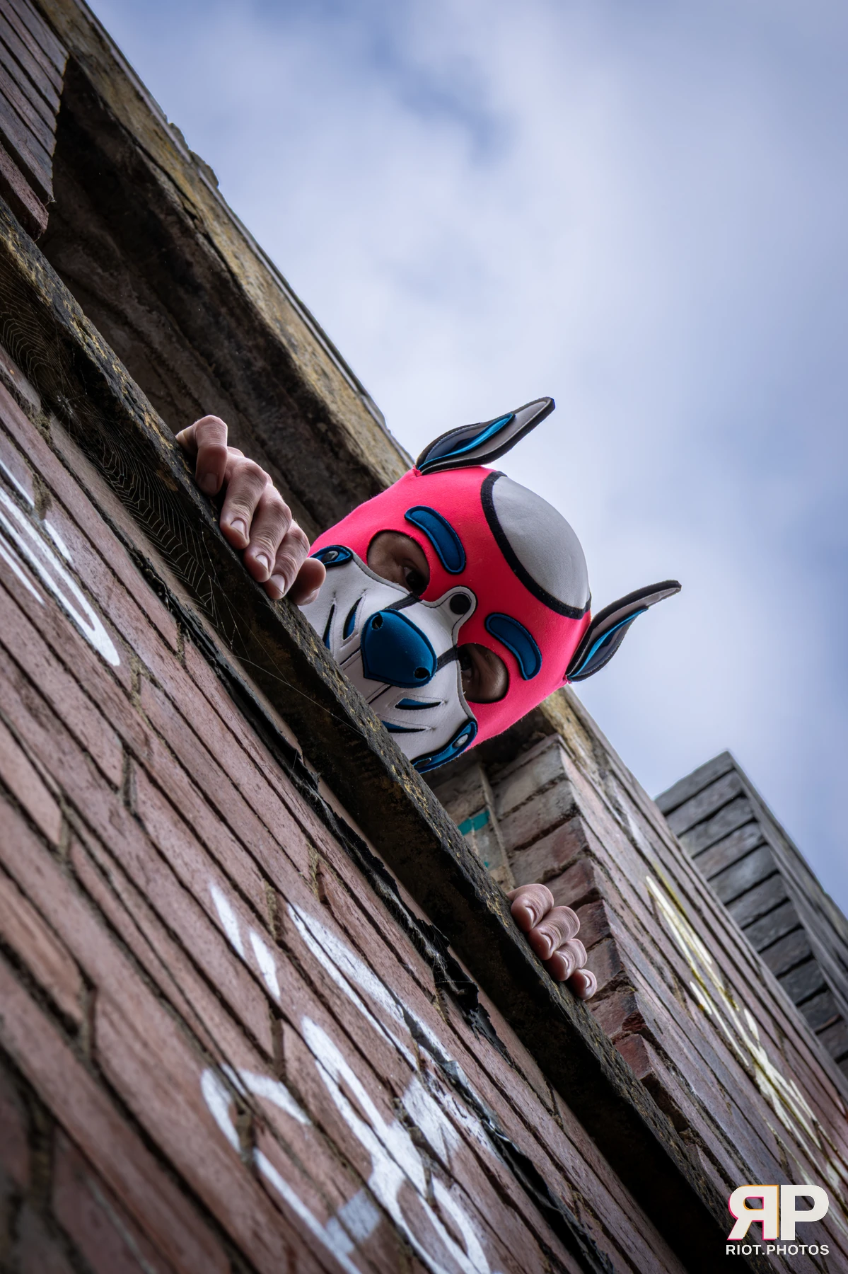 Pup Kaz — furry & pup photography by Fluffy Riot — photo 384