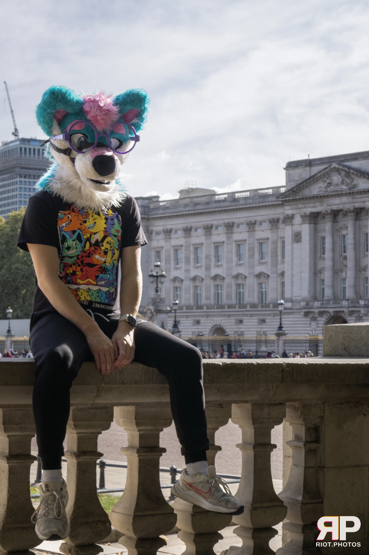 Pup Kaz — furry & pup photography by Fluffy Riot — photo 321