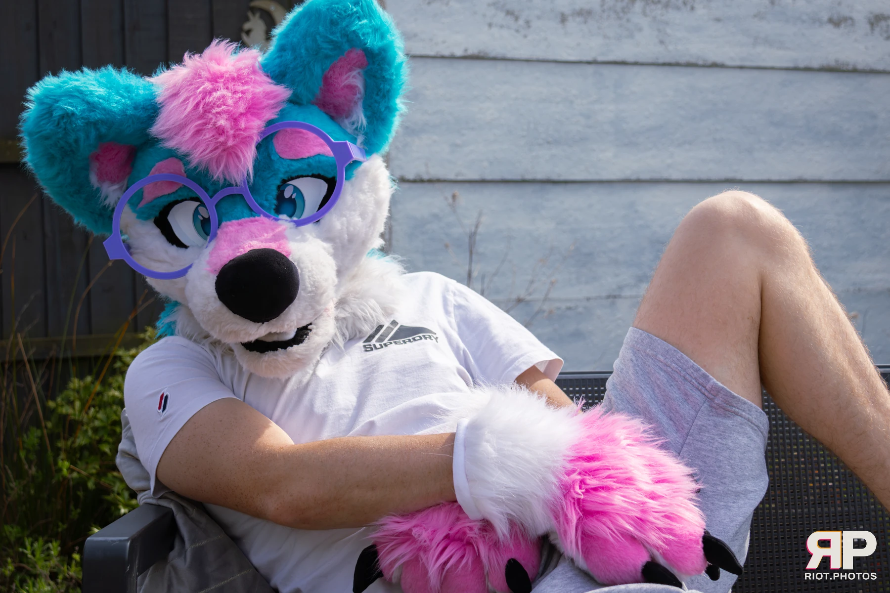 Pup Kaz — furry & pup photography by Fluffy Riot — photo 126