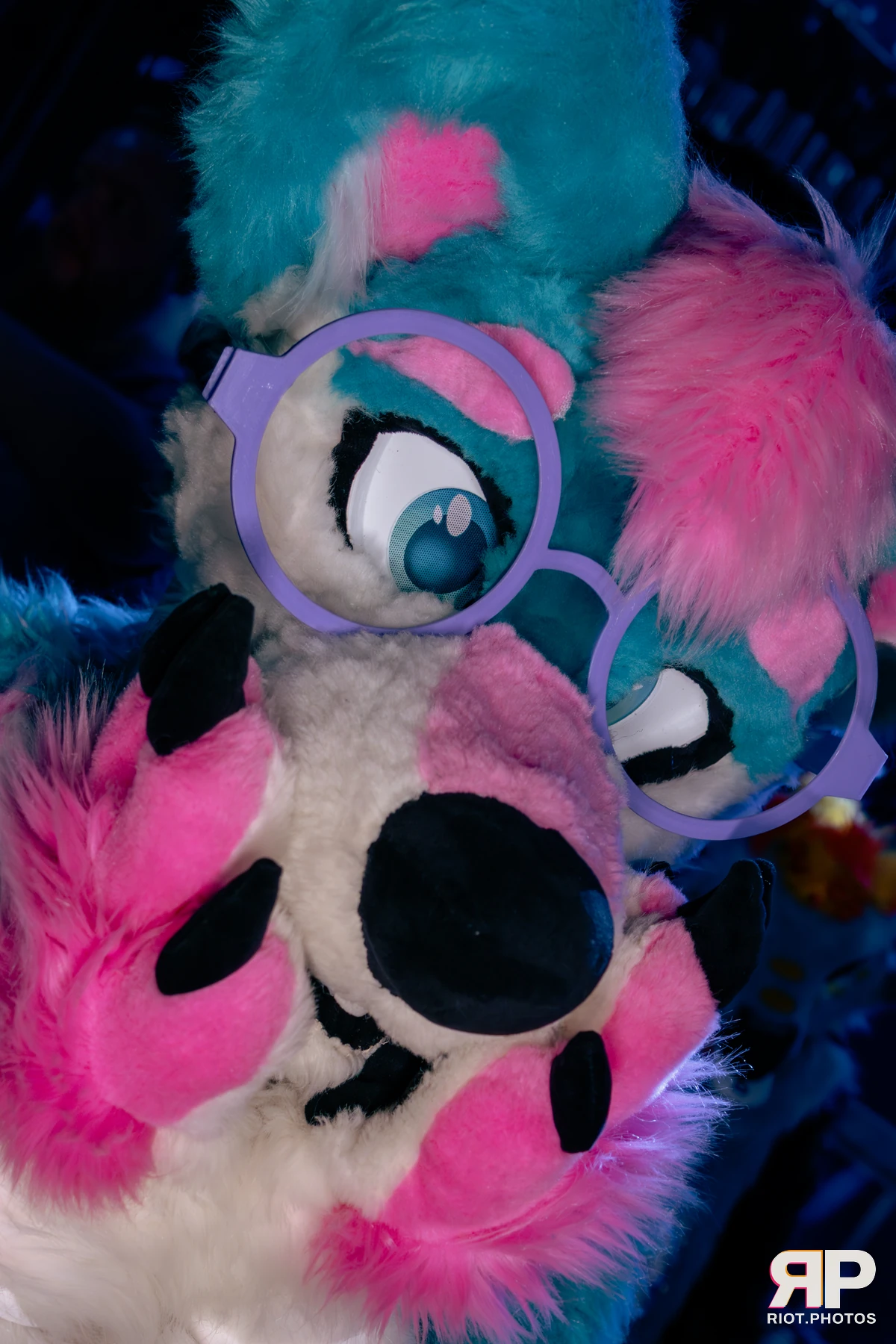 Pup Kaz — furry & pup photography by Fluffy Riot — photo 123