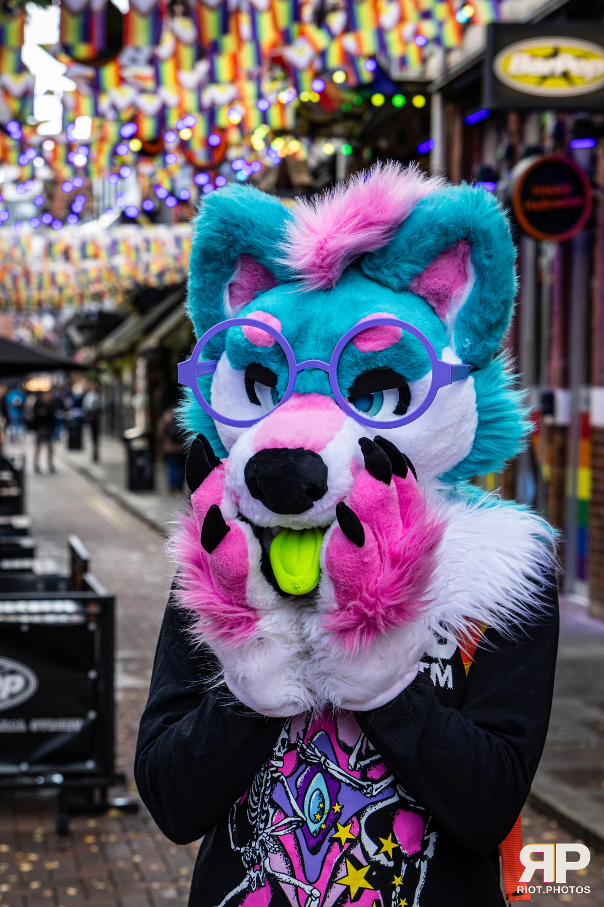 Doggy Weekend 2026 - 18 Oct 2026, Fluffy Riot photography - photo 488