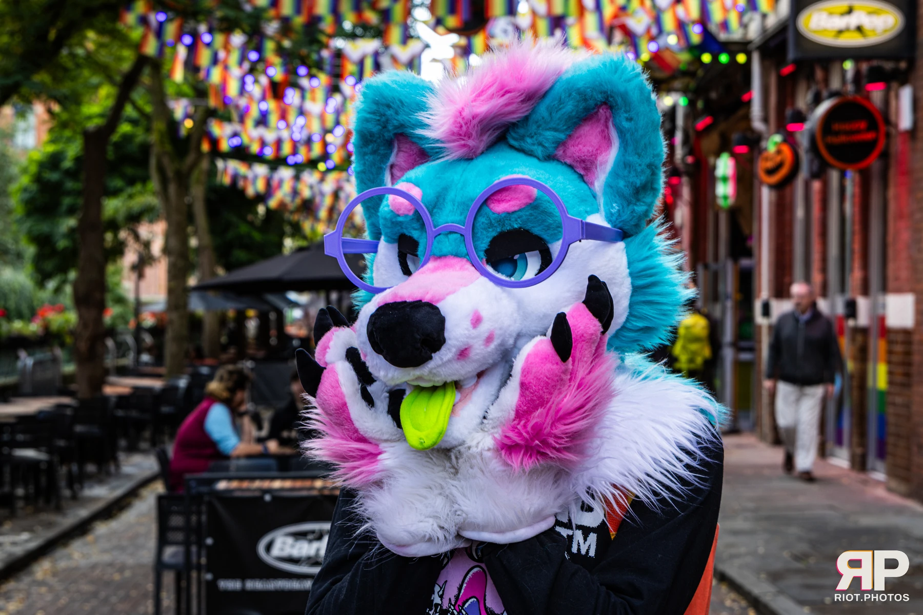 Doggy Weekend 2026 - 18 Oct 2026, Fluffy Riot photography - photo 487