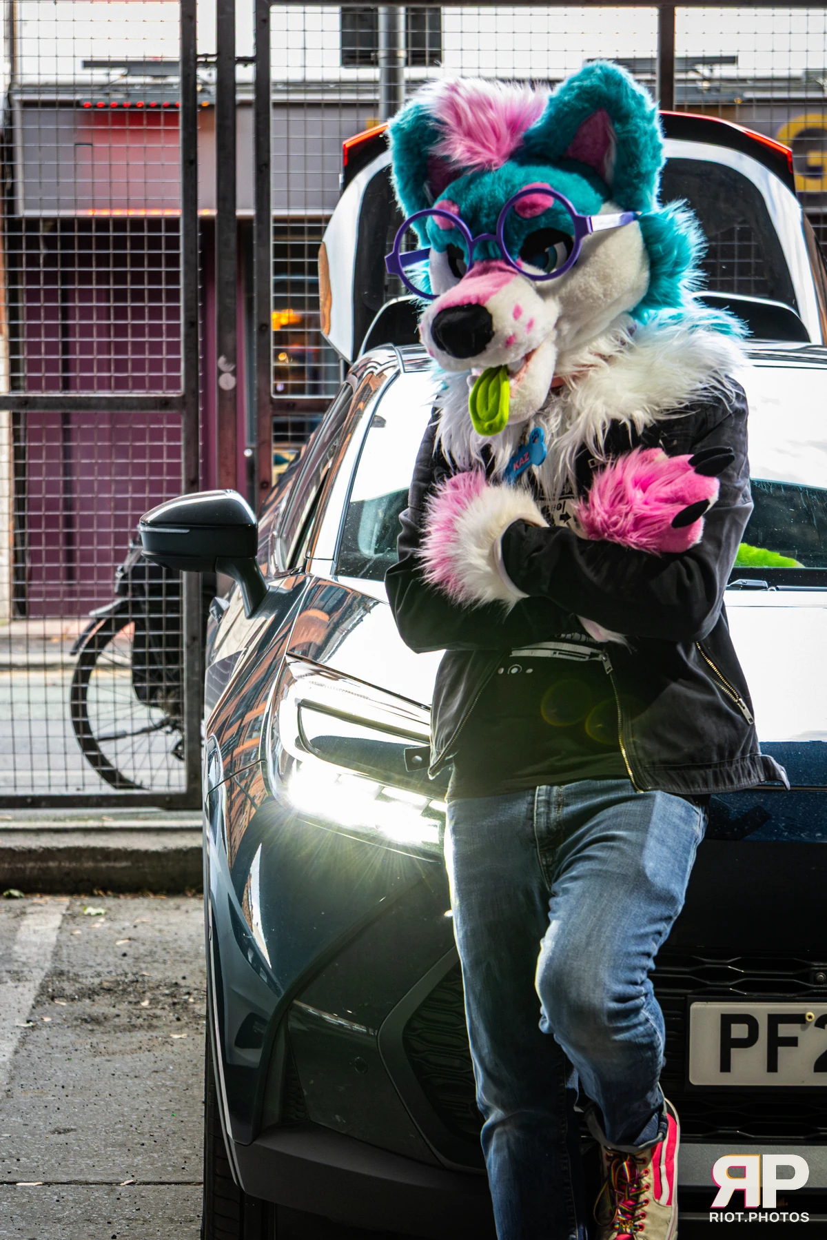 Doggy Weekend 2026 - 18 Oct 2026, Fluffy Riot photography - photo 308