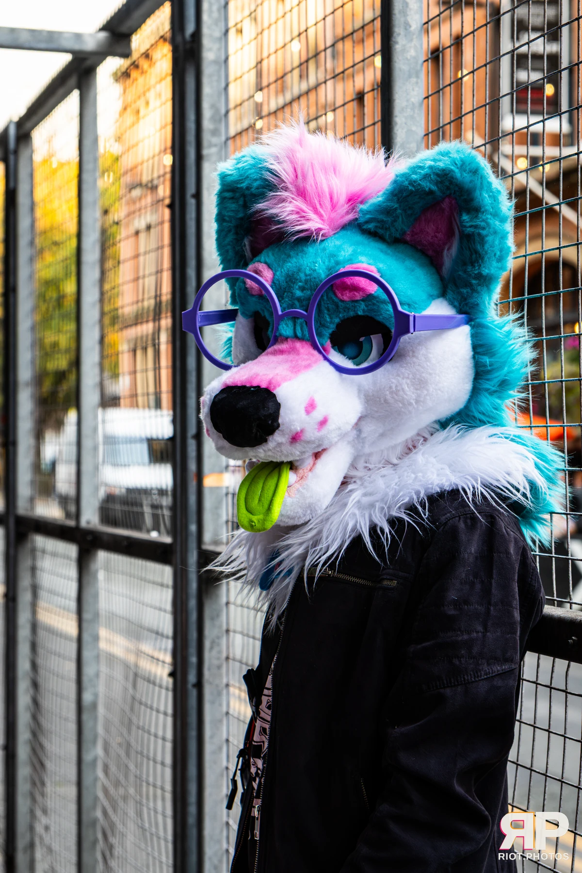 Doggy Weekend 2026 - 18 Oct 2026, Fluffy Riot photography - photo 307