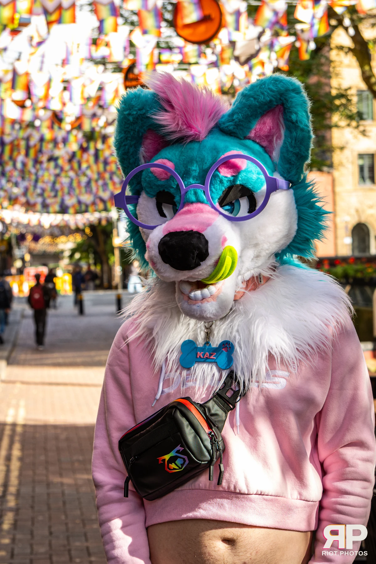 Doggy Weekend 2026 - 18 Oct 2026, Fluffy Riot photography - photo 173