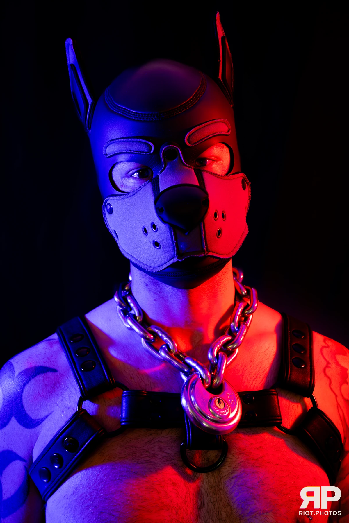 Pup Nathan — furry & pup photography by Fluffy Riot — photo 78
