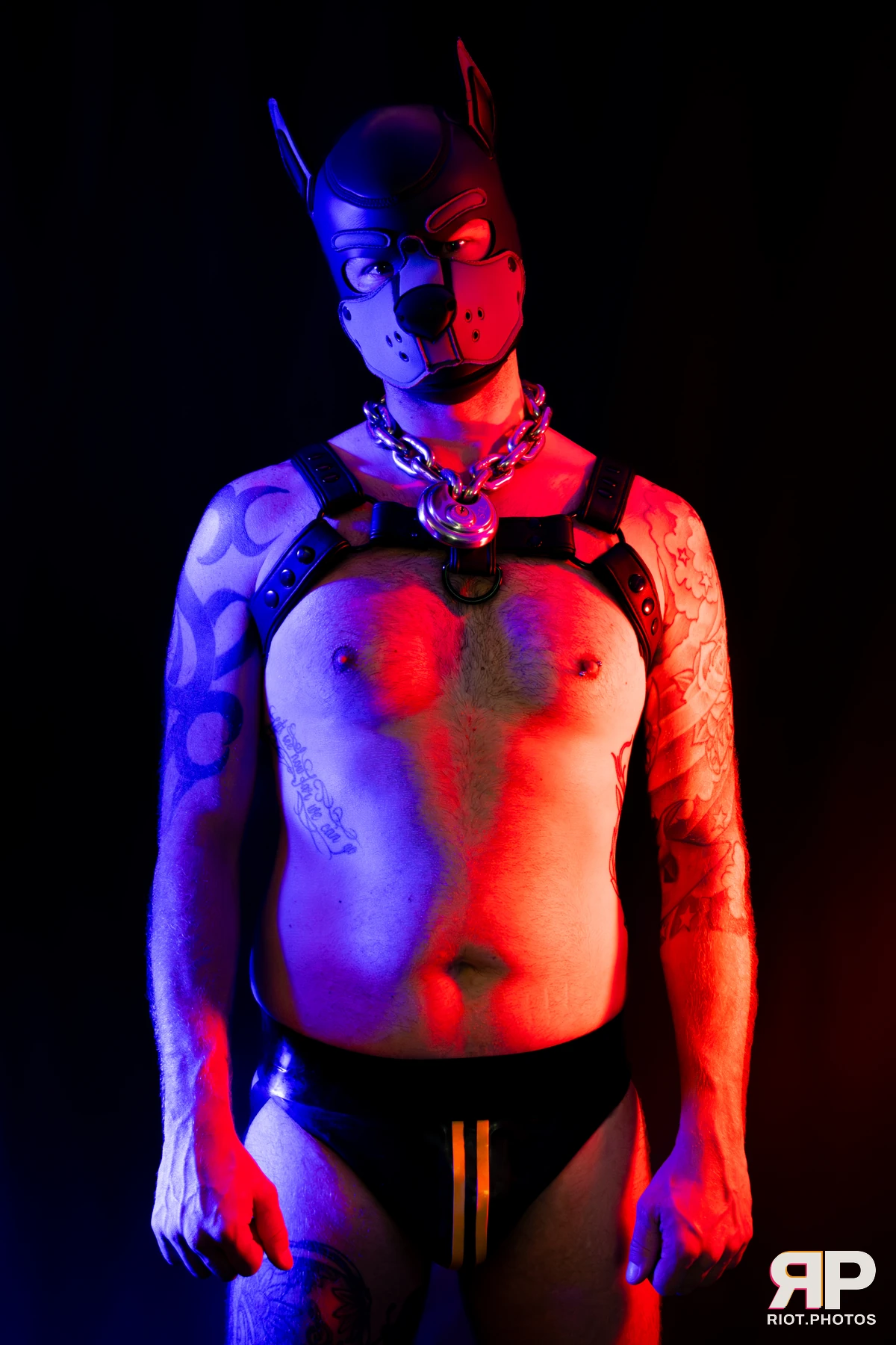Pup Nathan — furry & pup photography by Fluffy Riot — photo 79