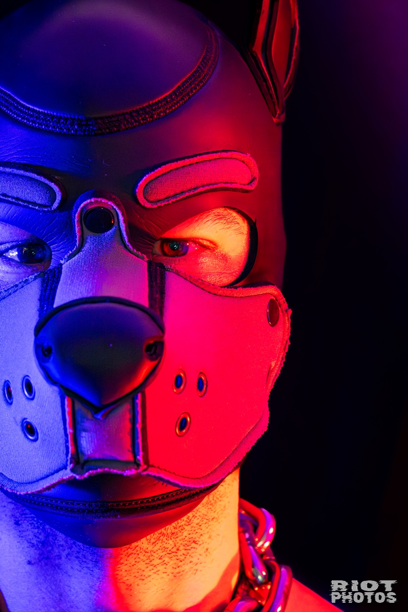 Pup Nathan