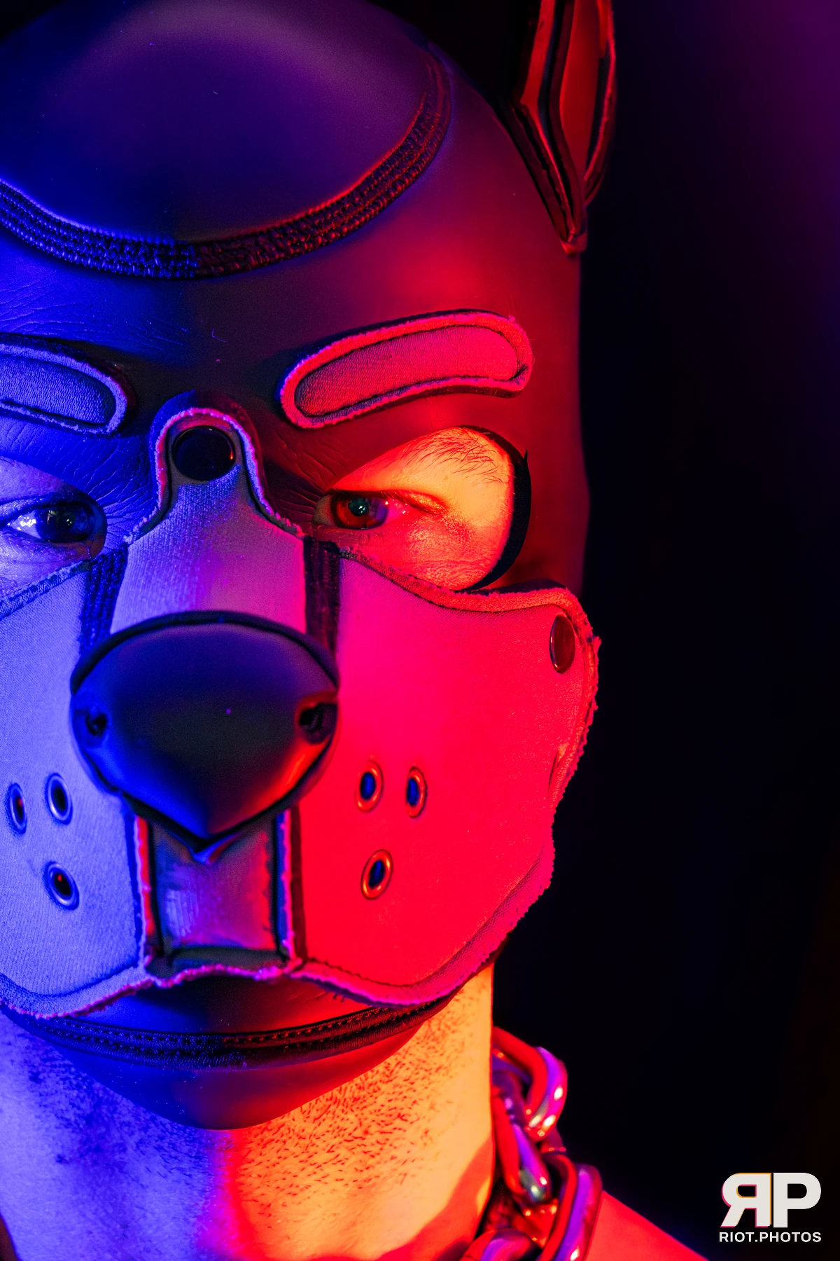 Pup Nathan