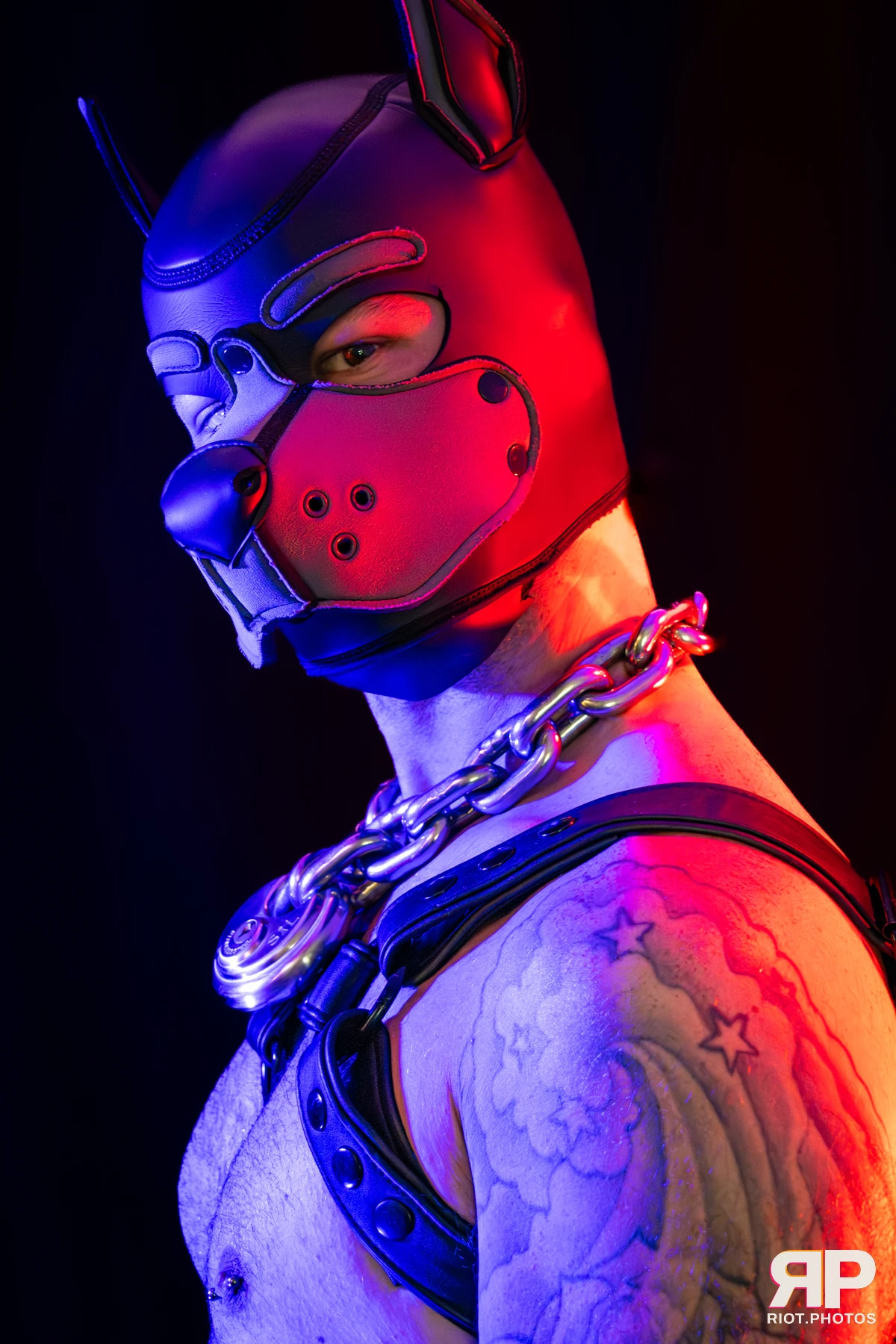 Pup Nathan — furry & pup photography by Fluffy Riot — photo 82