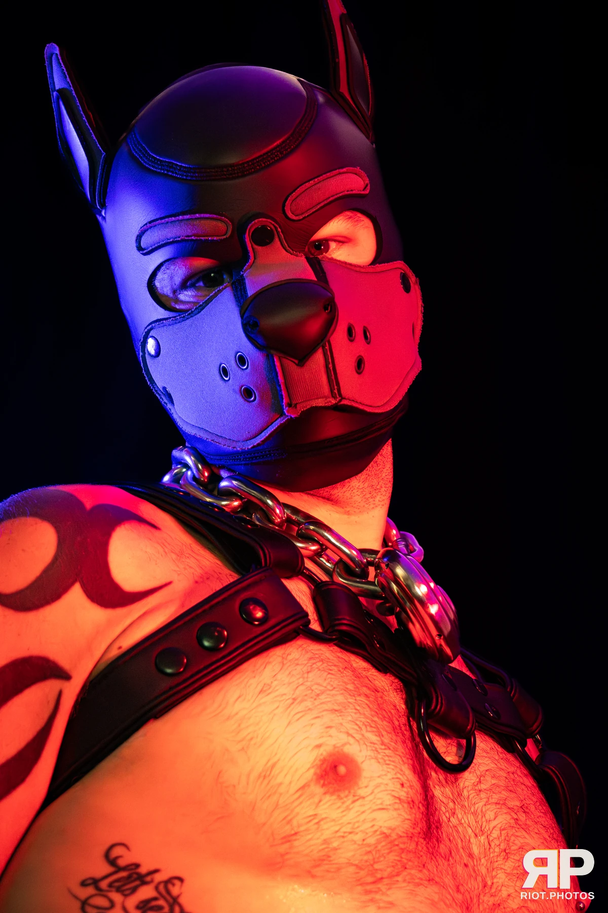 Pup Nathan — furry & pup photography by Fluffy Riot — photo 84