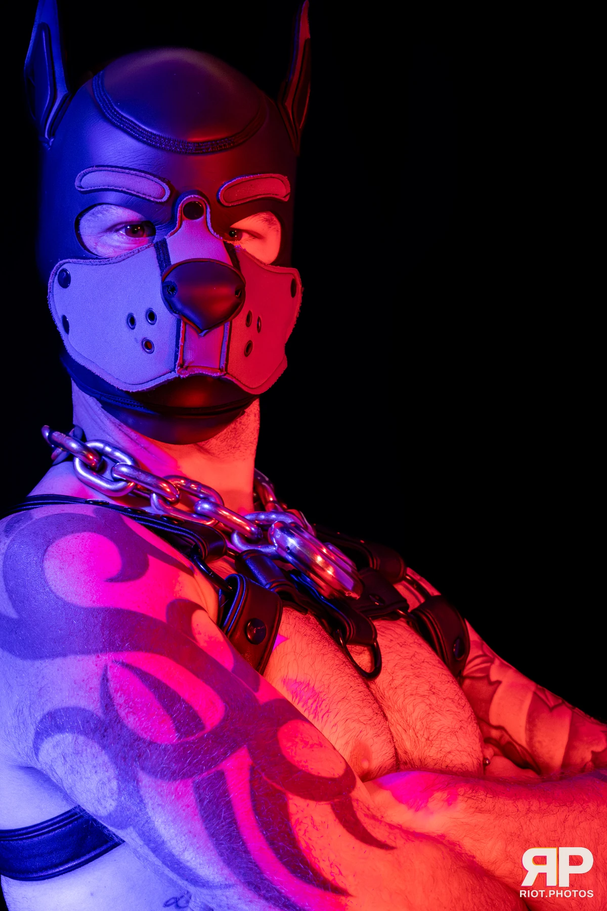 Pup Nathan — furry & pup photography by Fluffy Riot — photo 86