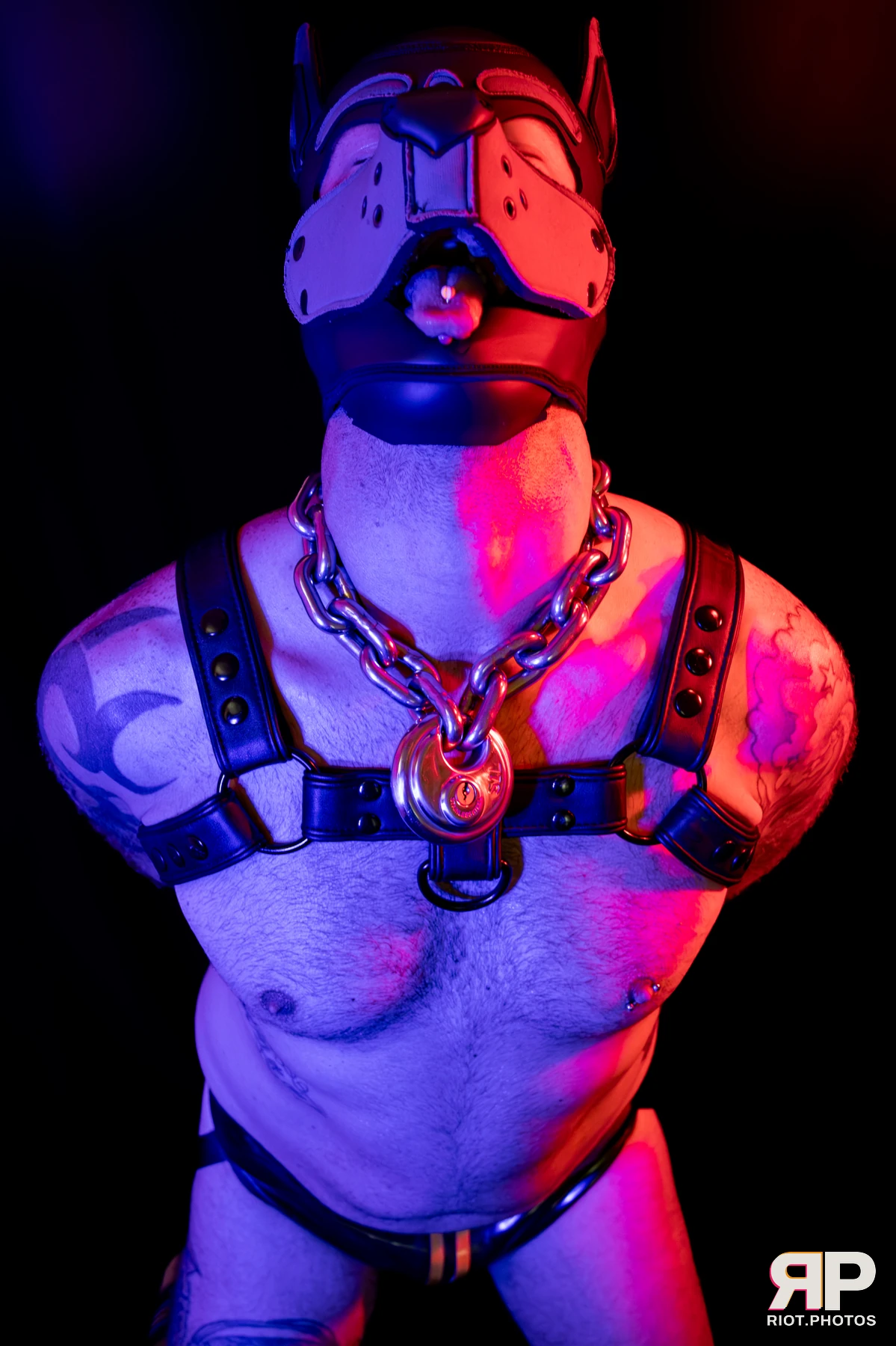 Pup Nathan — furry & pup photography by Fluffy Riot — photo 90