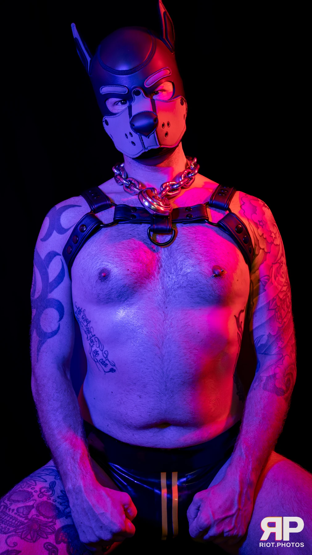 Pup Nathan — furry & pup photography by Fluffy Riot — photo 91