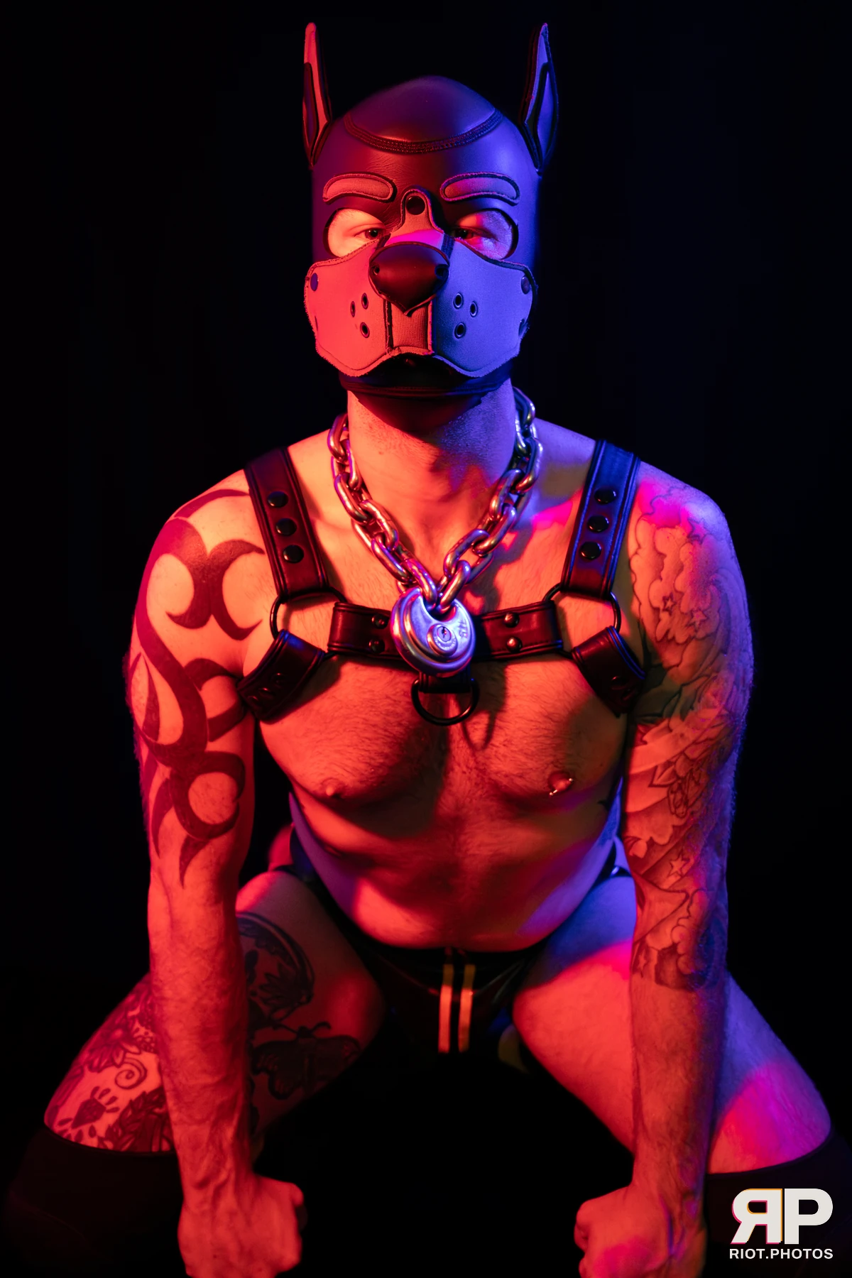 Pup Nathan — furry & pup photography by Fluffy Riot — photo 93