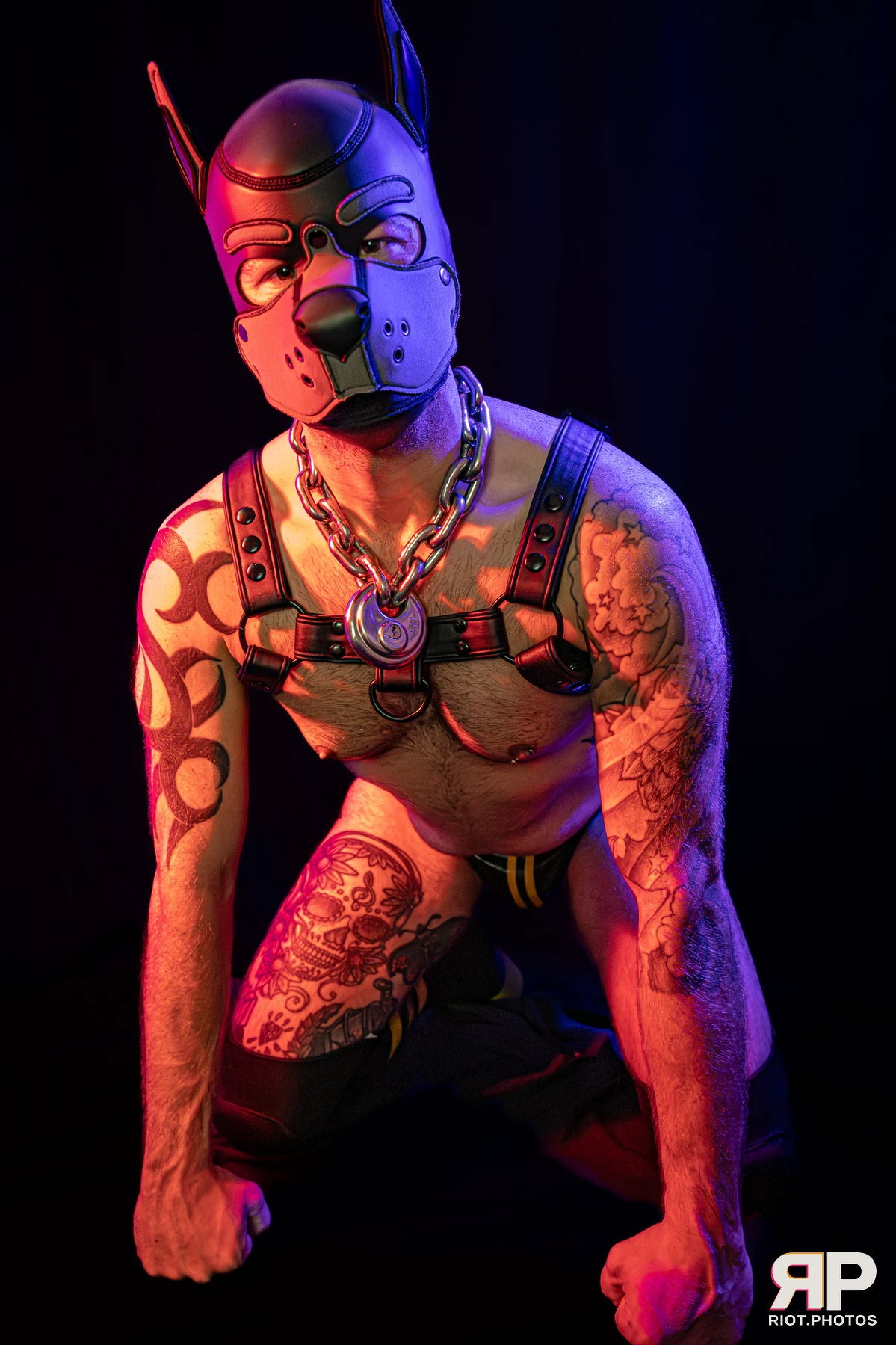 Pup Nathan — furry & pup photography by Fluffy Riot — photo 94
