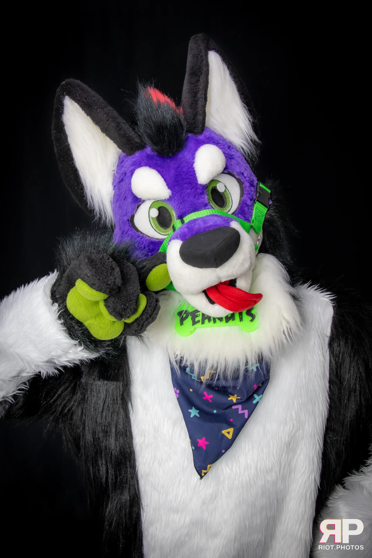 Pup Peanuts — furry & pup photography by Fluffy Riot — photo 36
