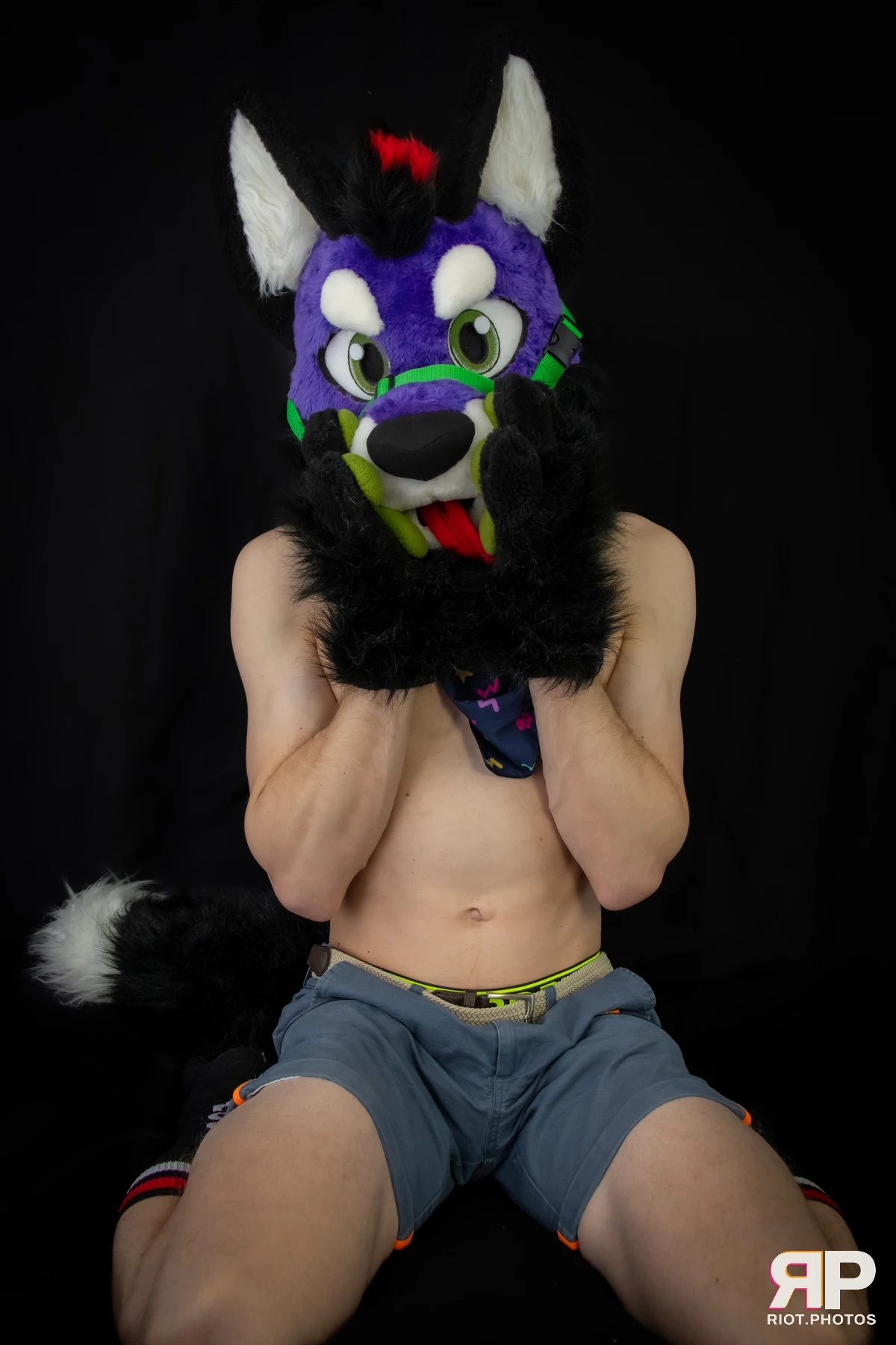 Pup Peanuts — furry & pup photography by Fluffy Riot — photo 42