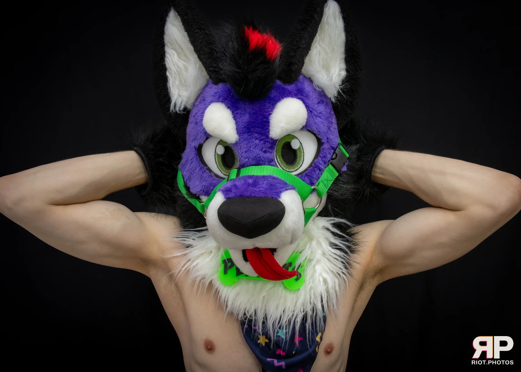 Pup Peanuts — furry & pup photography by Fluffy Riot — photo 43