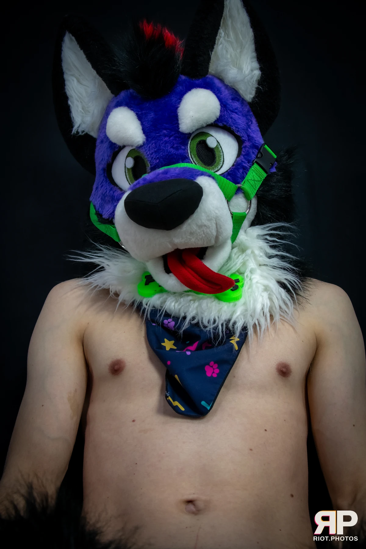 Pup Peanuts — furry & pup photography by Fluffy Riot — photo 44
