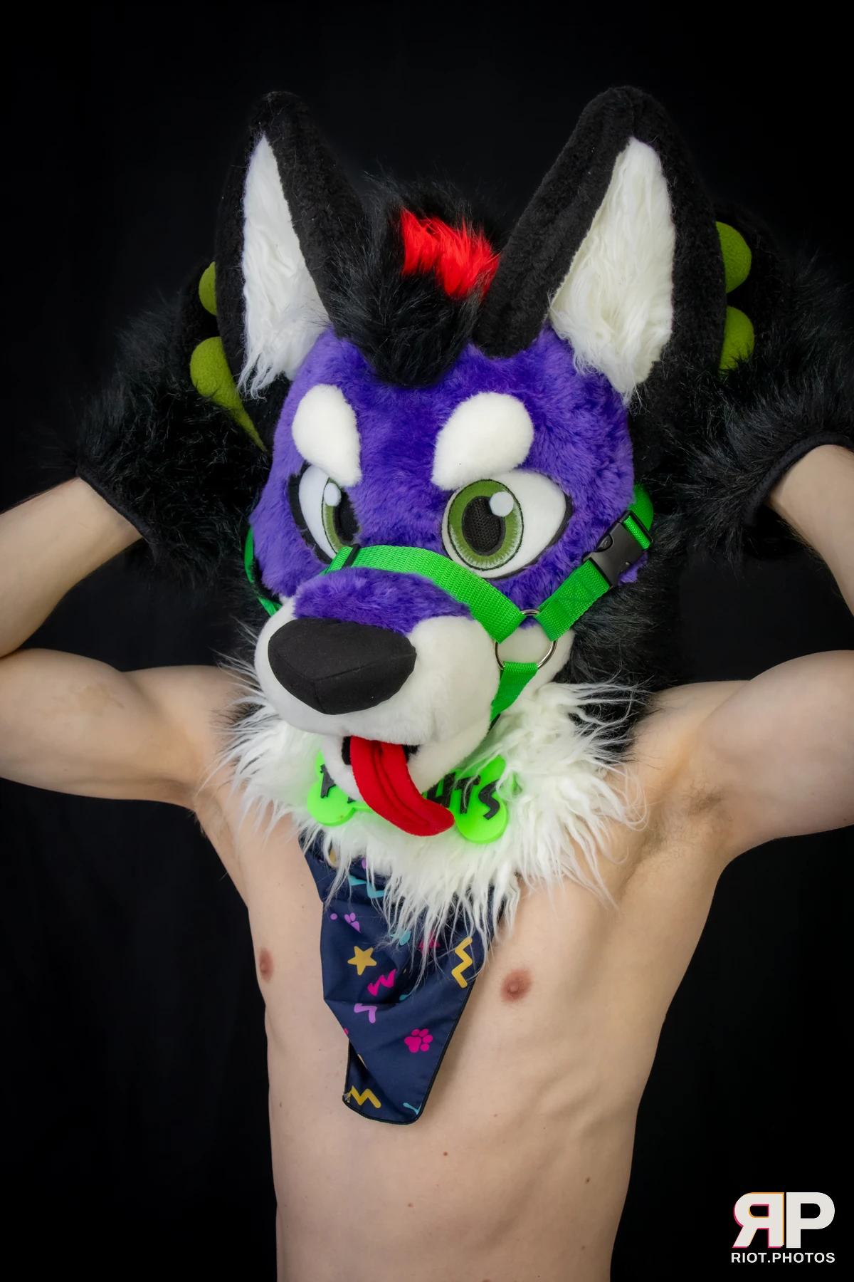 Pup Peanuts — furry & pup photography by Fluffy Riot — photo 45