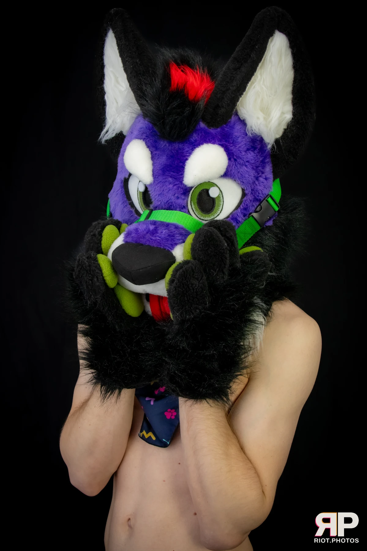 Pup Peanuts — furry & pup photography by Fluffy Riot — photo 46