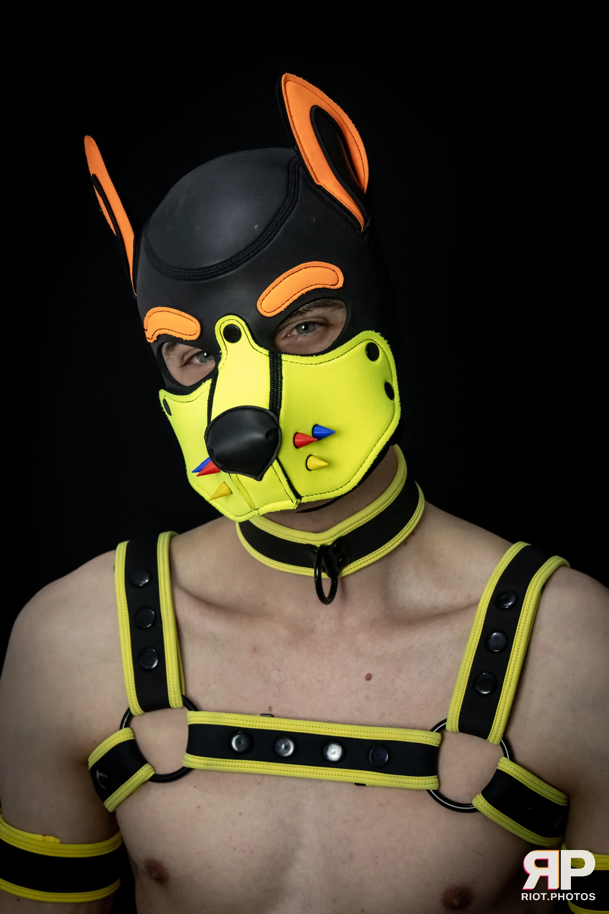 Pup Peanuts — furry & pup photography by Fluffy Riot — photo 54