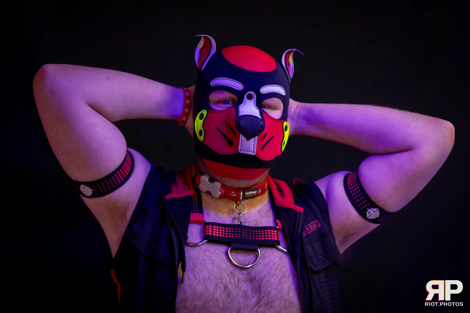 Pup Pixel — furry & pup photography by Fluffy Riot — photo 8