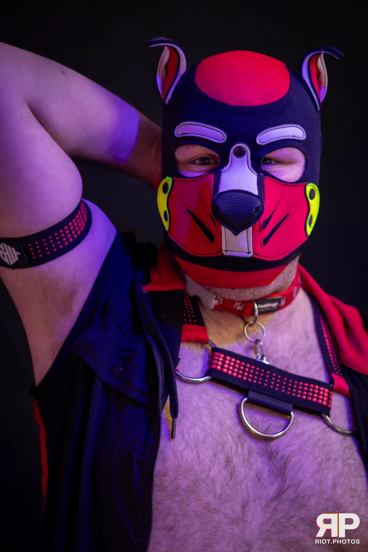Pup Pixel — furry & pup photography by Fluffy Riot — photo 9