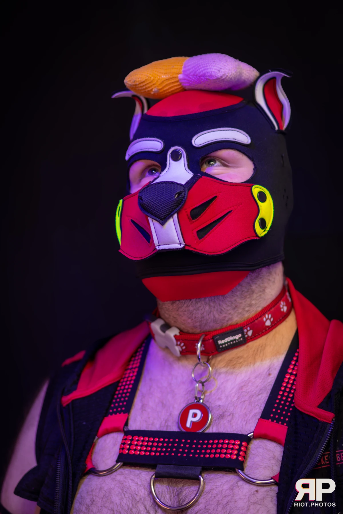 Pup Pixel — furry & pup photography by Fluffy Riot — photo 10