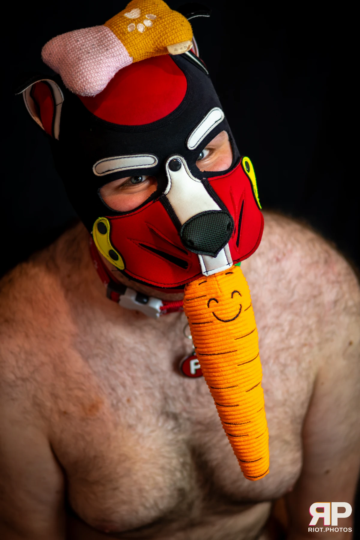 Pup Pixel