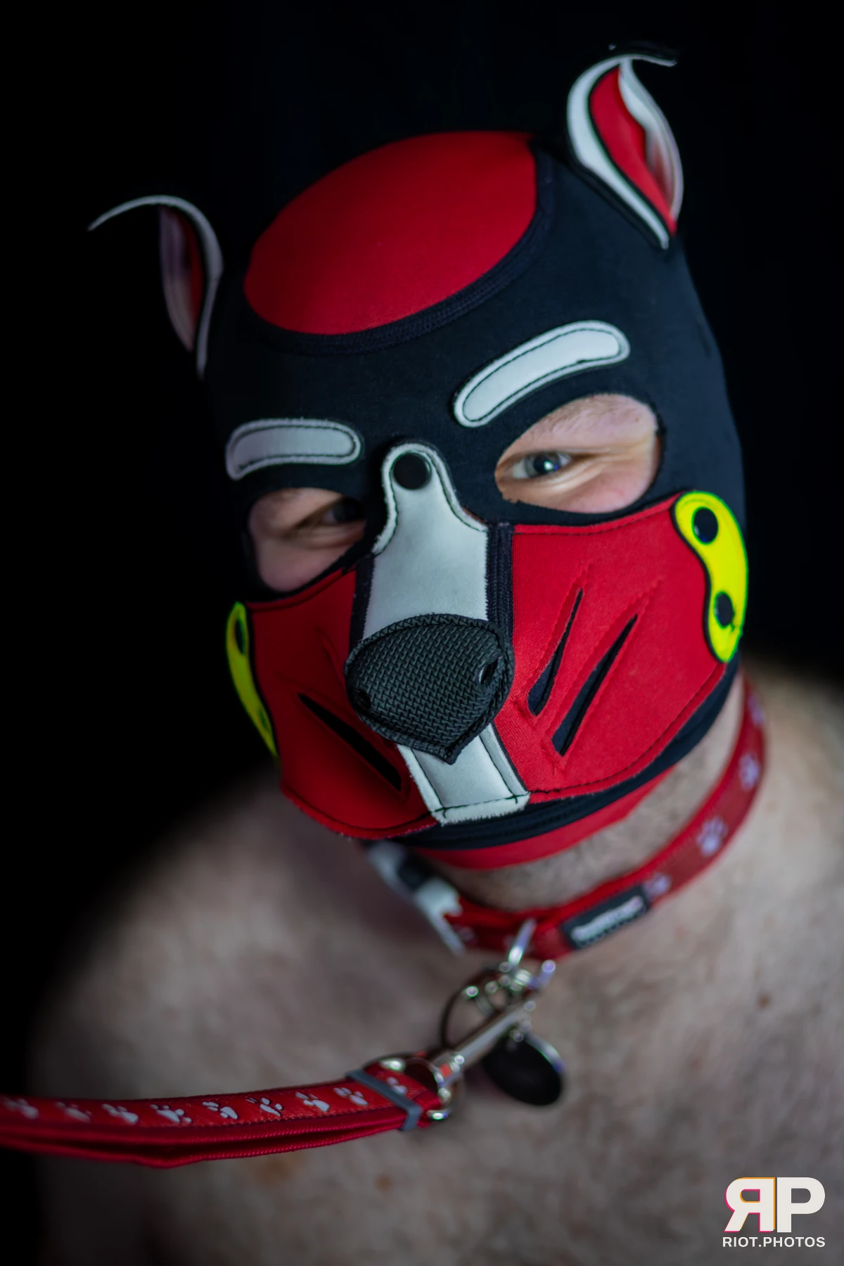 Pup Pixel — furry & pup photography by Fluffy Riot — photo 24