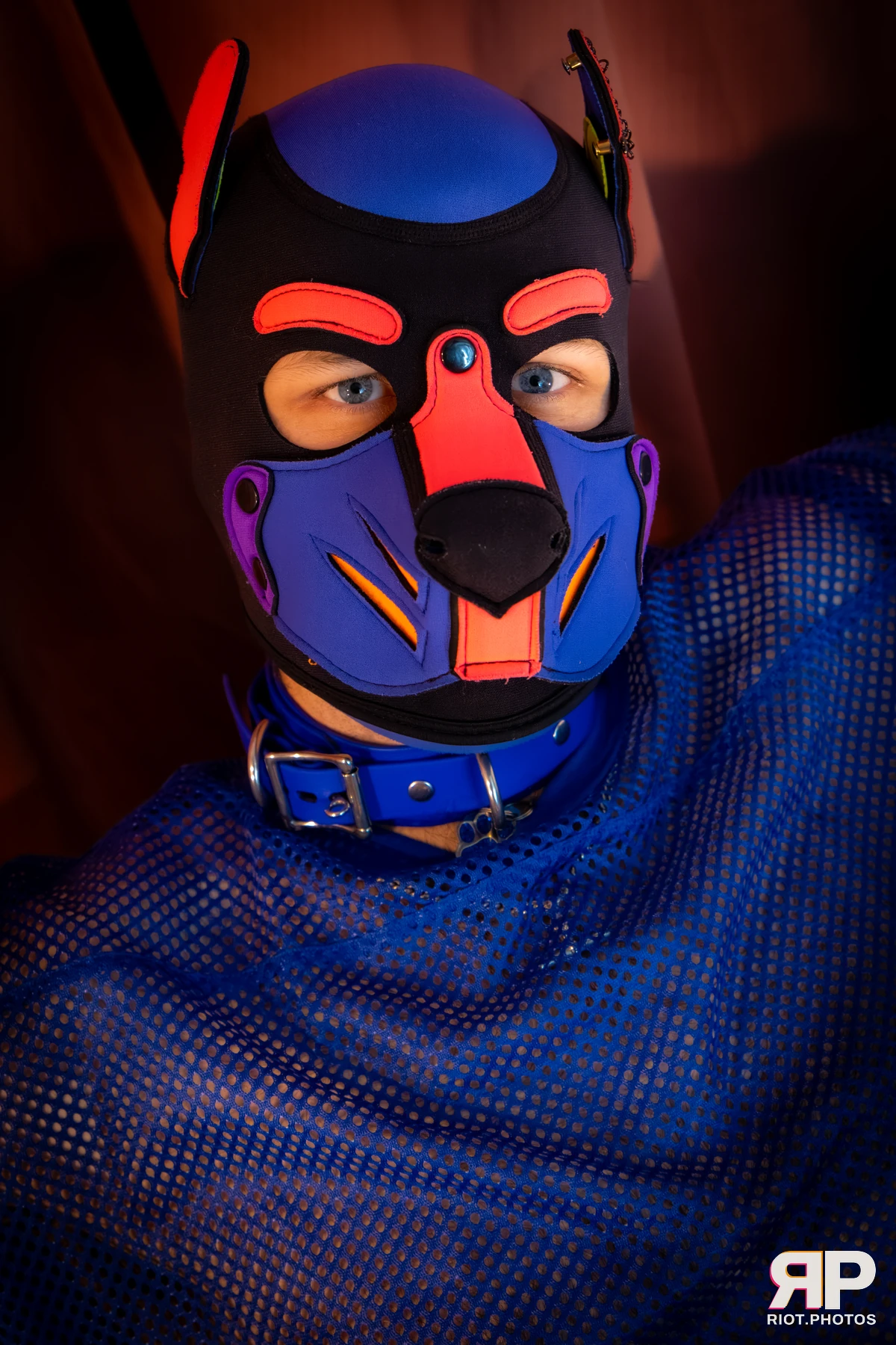 Doggy Weekend 2026 - 18 Oct 2026, Fluffy Riot photography - photo 350