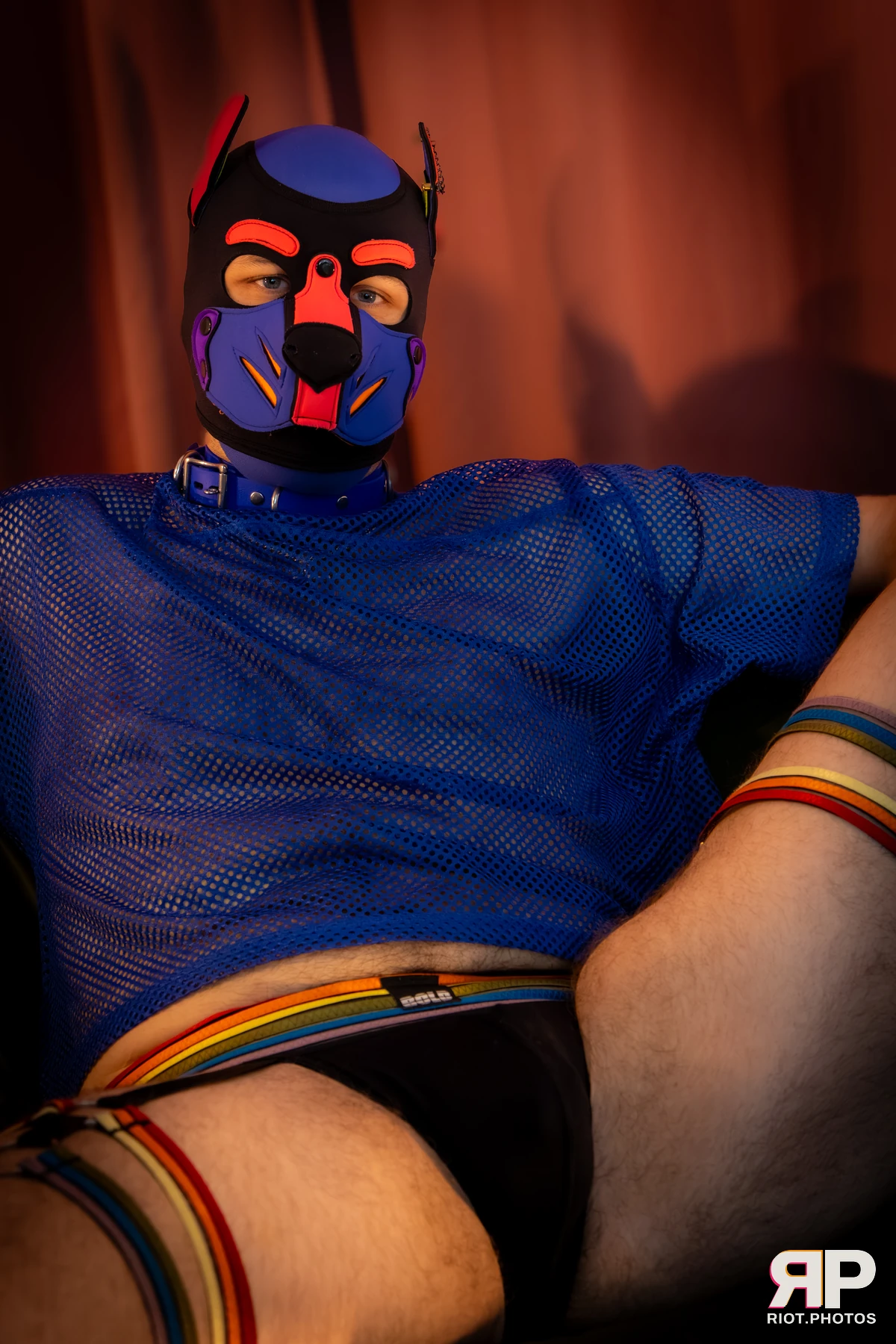 Doggy Weekend 2026 - 18 Oct 2026, Fluffy Riot photography - photo 348