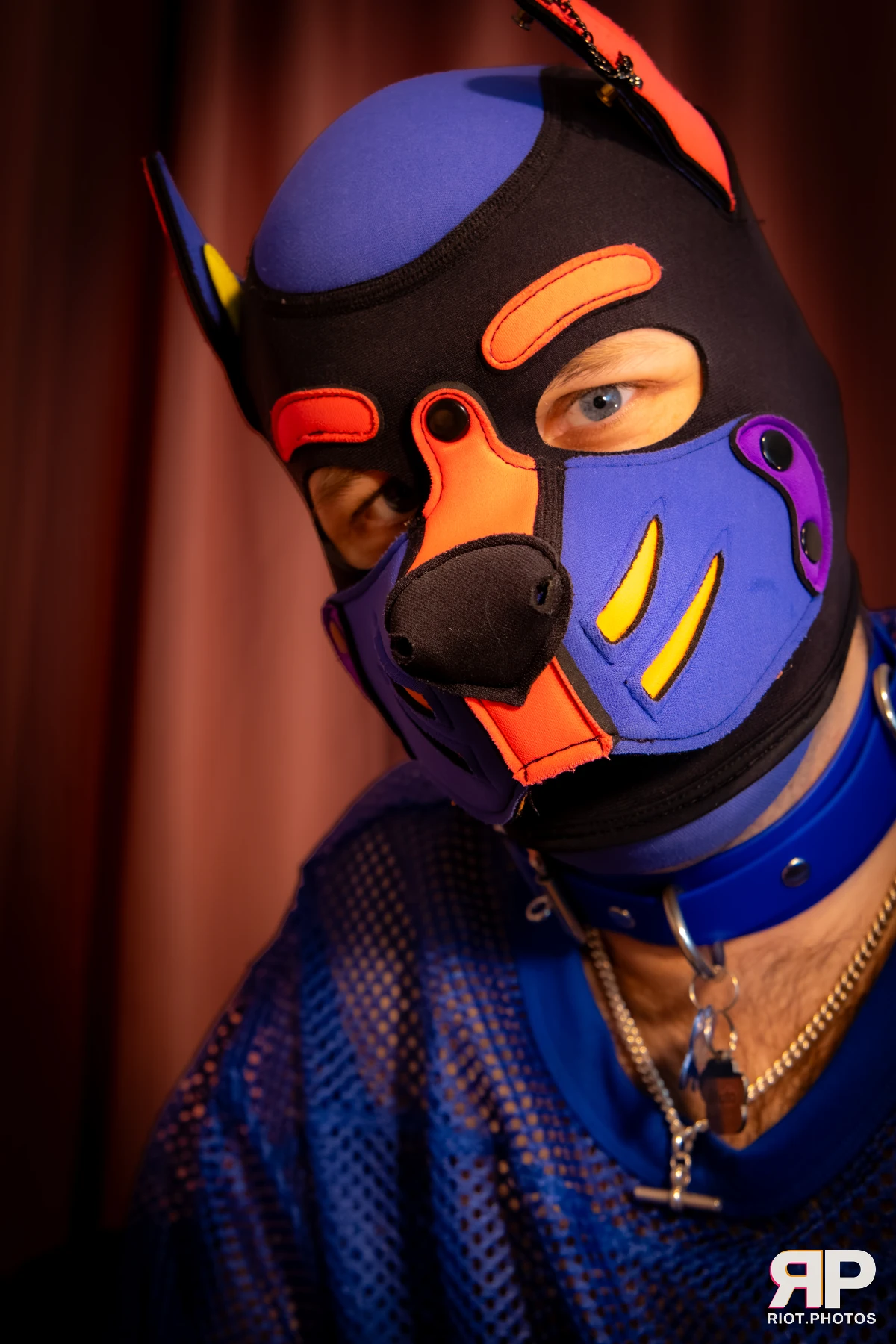 Doggy Weekend 2026 - 18 Oct 2026, Fluffy Riot photography - photo 343
