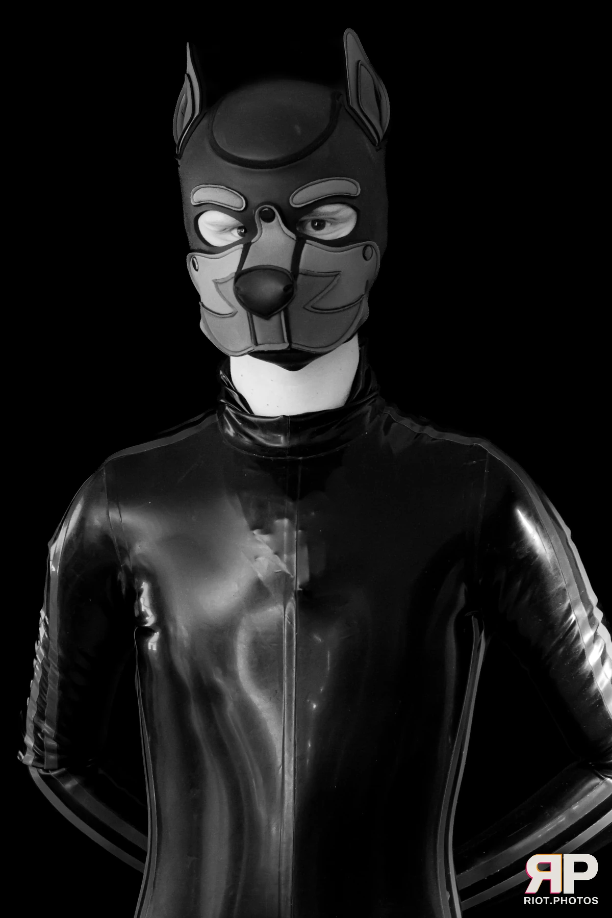 Pup Qoppa — furry & pup photography by Fluffy Riot — photo 11
