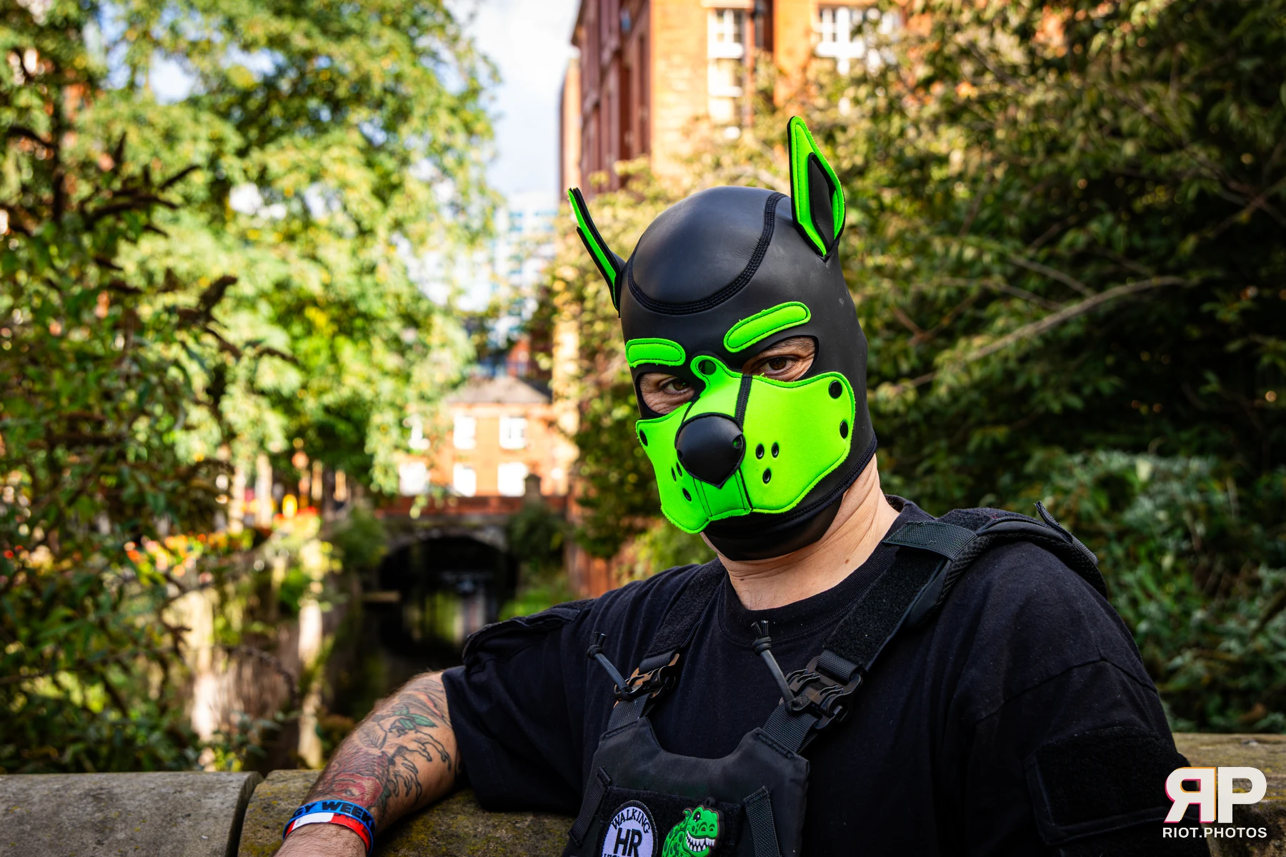 Pup Rexy - furry & pup photography by Fluffy Riot - photo 20