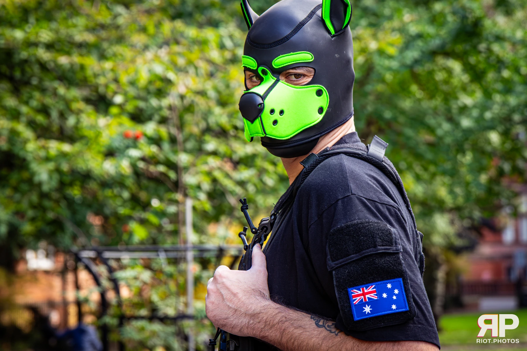 Pup Rexy - furry & pup photography by Fluffy Riot - photo 16