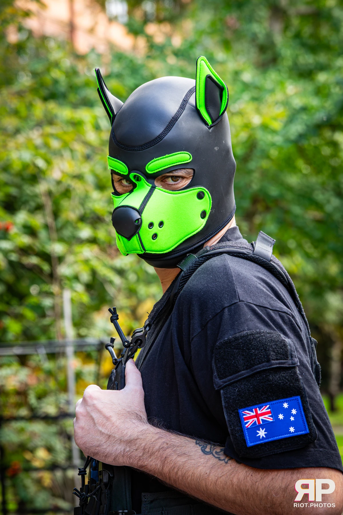 Pup Rexy - furry & pup photography by Fluffy Riot - photo 15